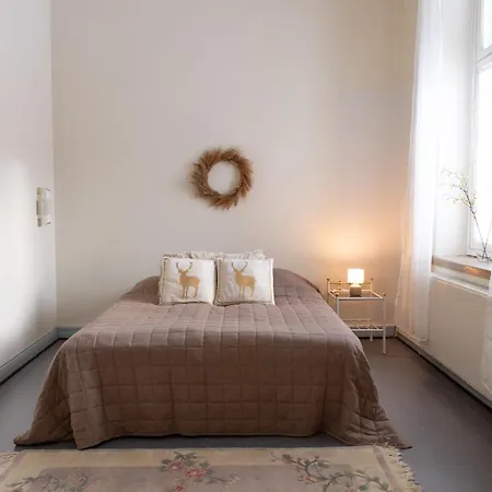 아파트 Spacious For Eight In A Good Location